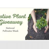 Native Plant Giveaway