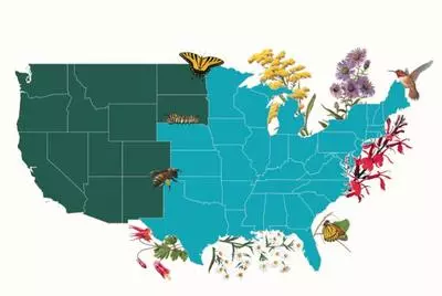 Garden For Wildlife
