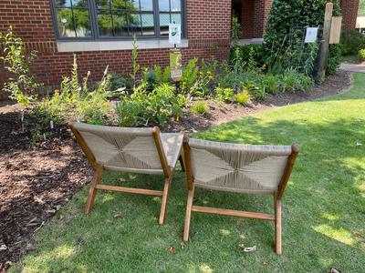 Sit and Observe Pollinators in Action