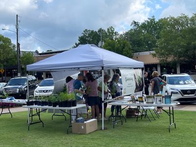 Native Plant Giveaway 2023